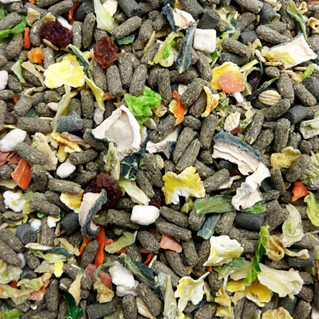 デグーテイストプラス　380g