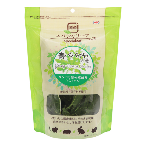 PRO スぺシャリーフ 青パパイヤの葉