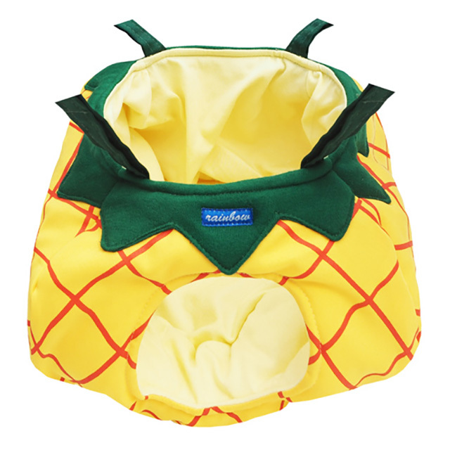 フルーツハウス　パイナップル