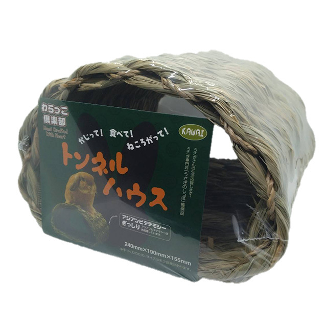 わらっこ倶楽部 トンネルハウス