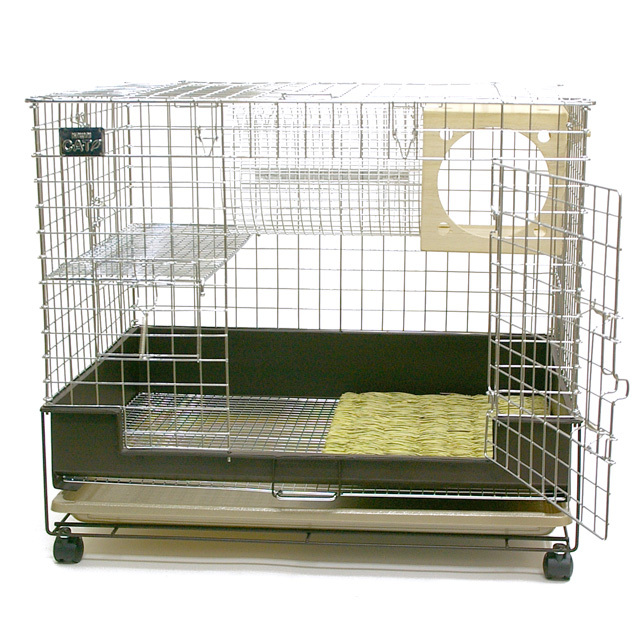 スーパーケージ コンフォート60 ReBorn 特別セットB