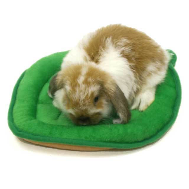 木の葉のクッション