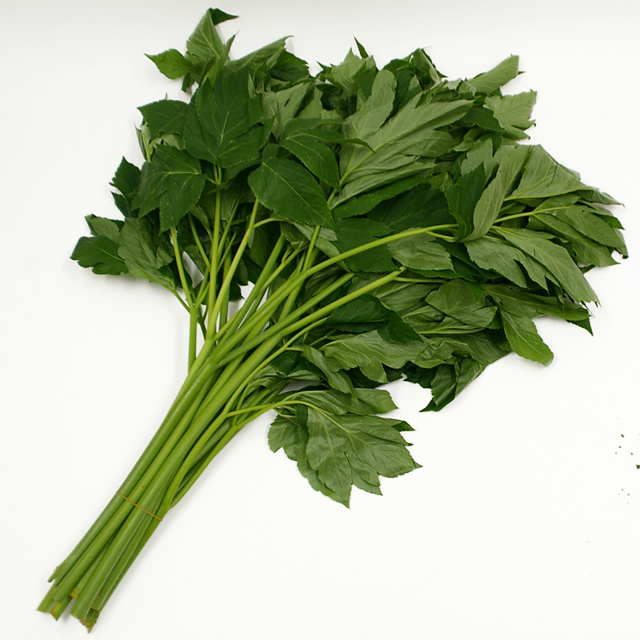 無農薬 乾燥あしたば（明日葉）