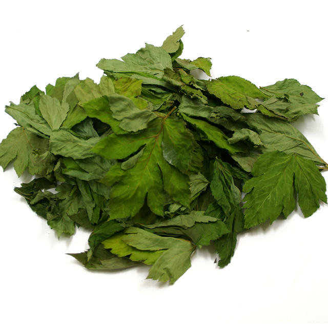 八丈島産 乾燥あしたば（明日葉）