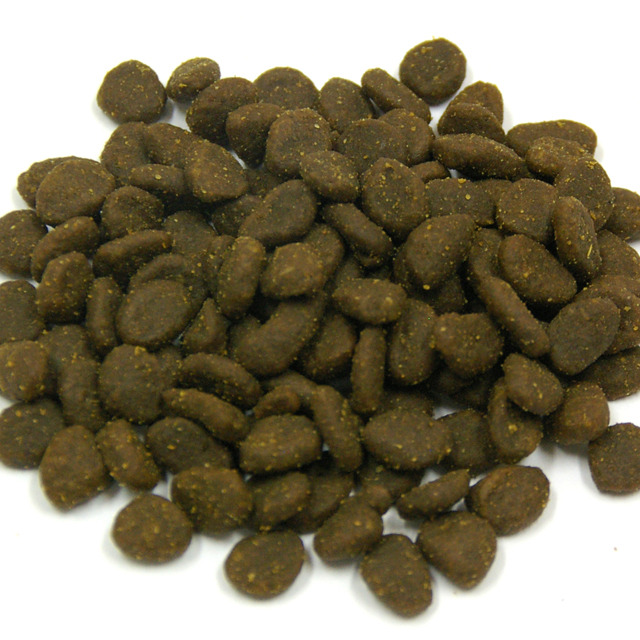 NEW オリジン キャット＆キトゥン