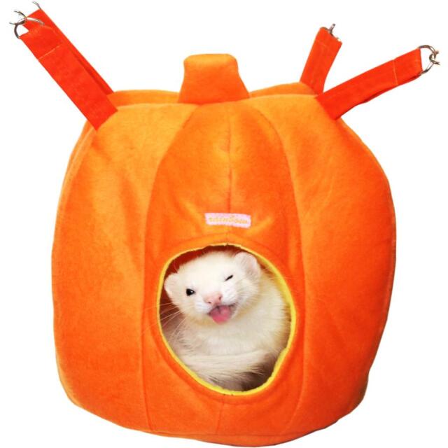 かぼちゃのおうち