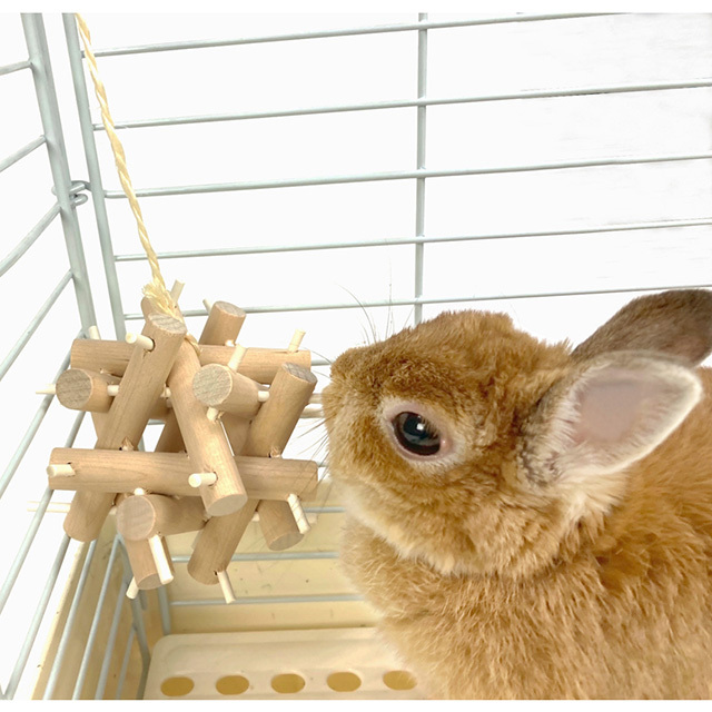 ガリガリ スティックボール M