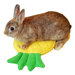 パイナップルのおふとん