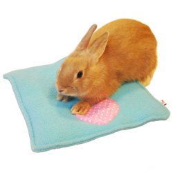 ミニミニハートのおふとん