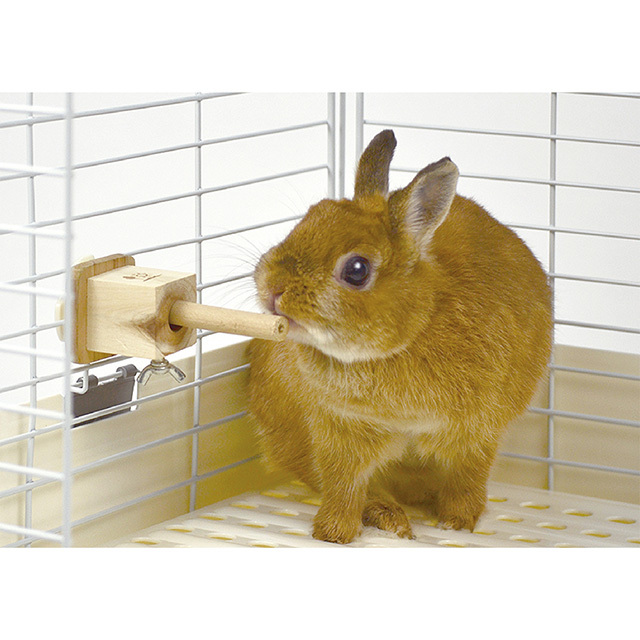 かじり木スティック 固定ホルダー