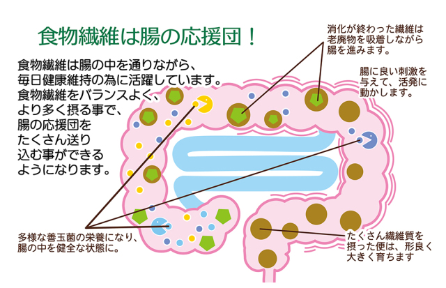 腸活アシスト 400ｇ