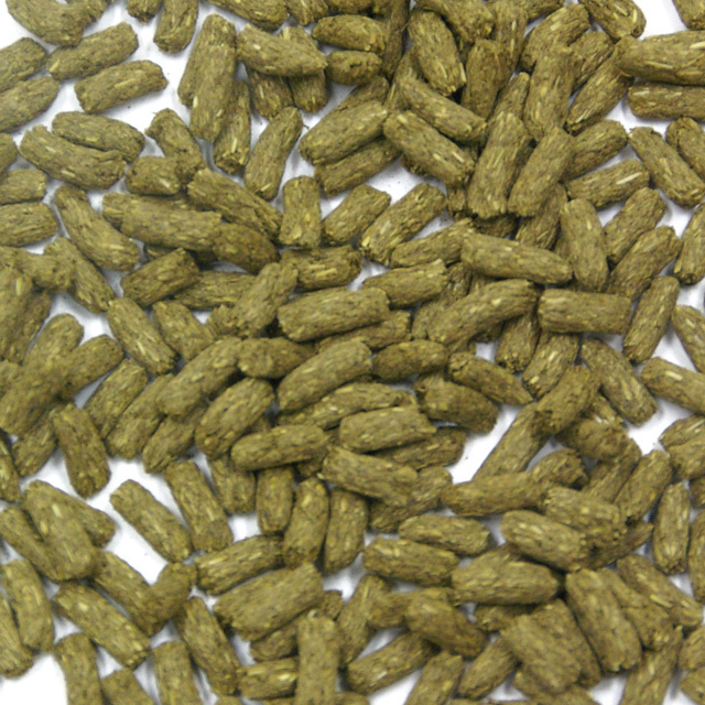 ラビットプラス