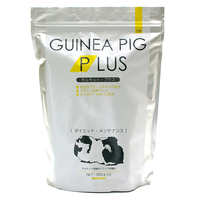 モルモット・プラス