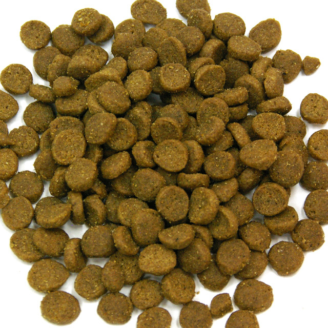 ズプリーム プレミアム フェレット ダイエット 450g