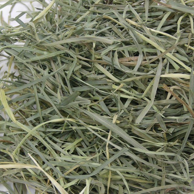 OXBOW オーチャードグラス