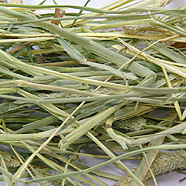 ラビットプレミアムチモシー 500g