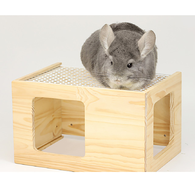 ルーフメッシュハウス