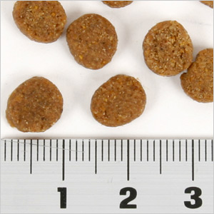 フェレット フード ジャパンフェレミアム 1.5kg 国産 正規品
