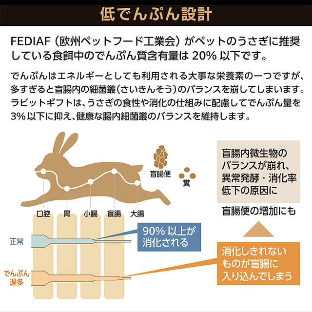 ラビットギフト　1kg