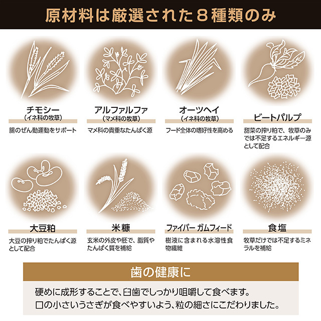 ラビットギフト　1kg