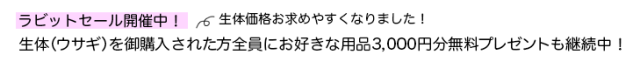 おしらせ