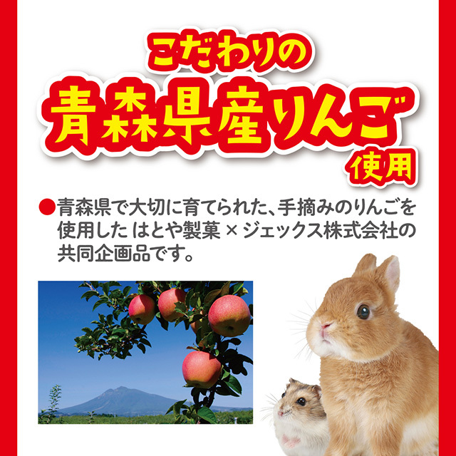 パリパリりんご　10g