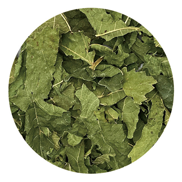 ヘルシーレシピ 桑の葉ぱりむしゃ 10g