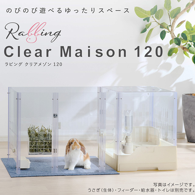 ピンクトイズ 官能河童 クリアグリーン 311116-1.jpg