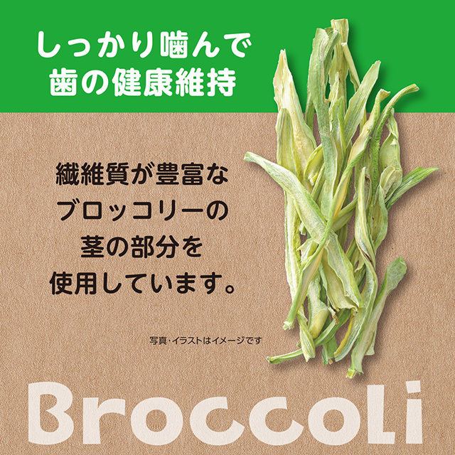 ヘルシーレシピ ブロッコリーぽりぽり 15g