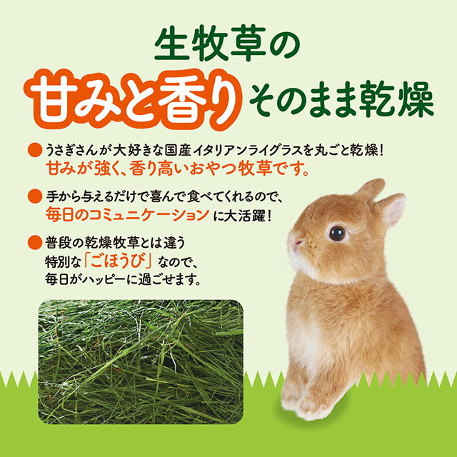 GEX　旬牧草　毎日ごほうびイタリアンライグラス　20g