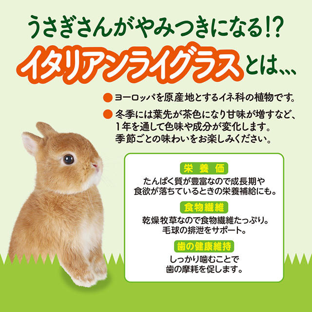 GEX　旬牧草　毎日ごほうびイタリアンライグラス　20g