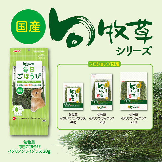 GEX　旬牧草　毎日ごほうびイタリアンライグラス　20g
