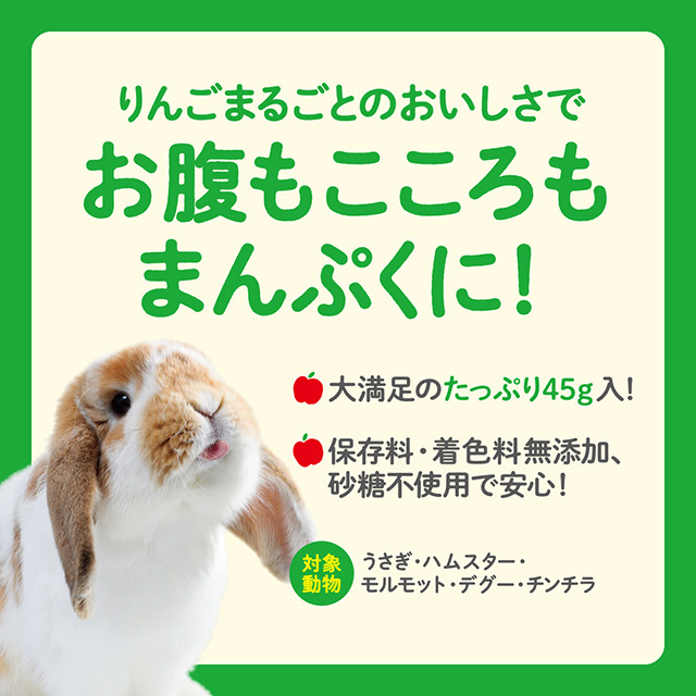 さくっとまんぷくりんご フリーズドライ　45g