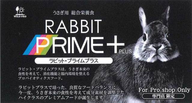ラビット・プライムプラス