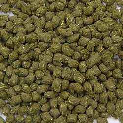 バニーセレクション ネザーランドドワーフ専用 1.3kg