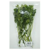 【店舗販売限定品】イタリアンパセリ 50g
