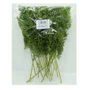 【店舗販売限定品】うさぎ畑　新鮮にんじん葉 80g