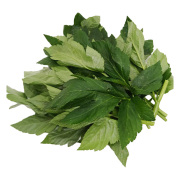 八丈島産 生あしたばの葉と茎　約100g