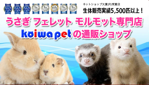 スマホヘッダー