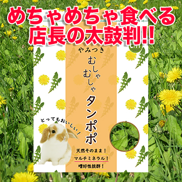 やみつきむしゃむしゃタンポポ　40g