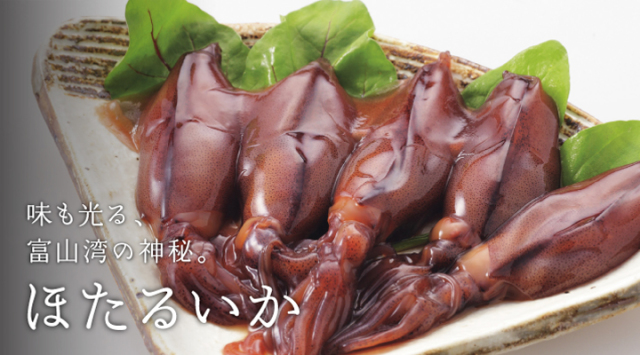 ほたるいか