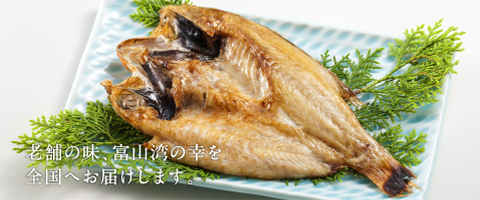 小島屋