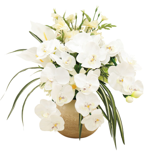 ch-f20-088