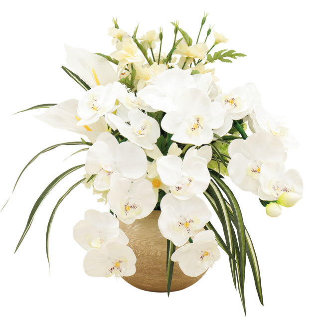 ch-f20-088