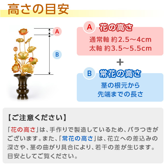 常花のサイズ