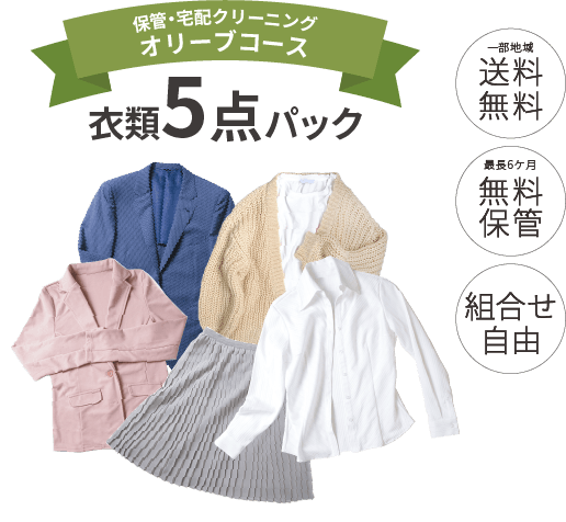 オリーブ5点セット画像