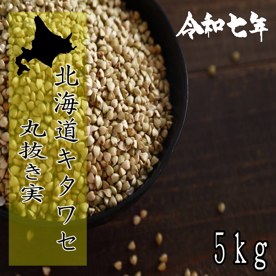 令和7年産!!北海道産キタワセそば丸抜き実【5kg】