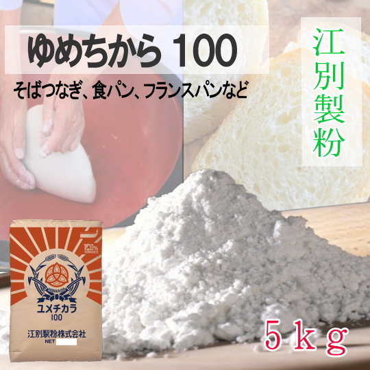 江別製粉・北海道ゆめちから100【5kg】