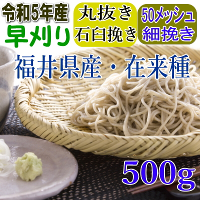 福井県産・在来種