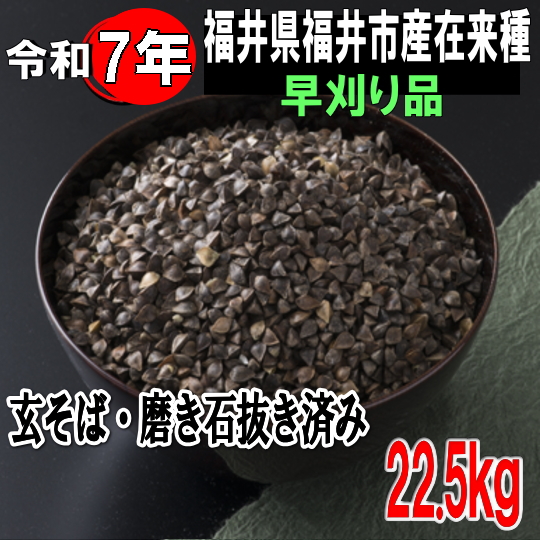 令和7年産!!福井県産・在来種（早刈り品）・玄そば磨き石抜き済み1等品【22.5kg】